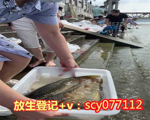 黑龙江的鳝鱼要放生吗，黑龙江勃利县极灵寺发表声明澄清网传打人事件