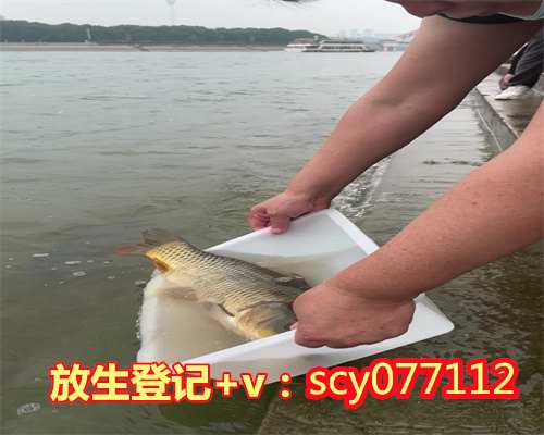 西宁放生功德第一,西宁哪里比较适合放生鲤鱼,西宁允许放生的水域