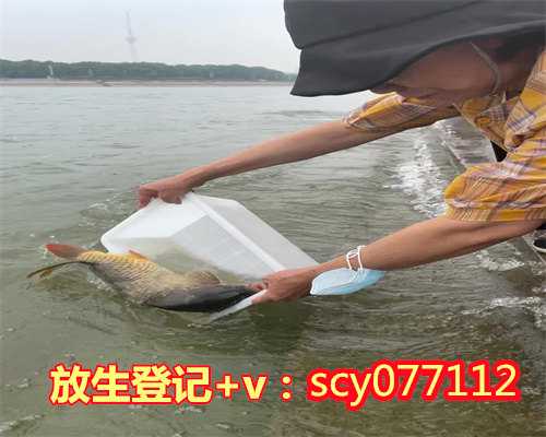 海口放生的鱼从哪里买到，600只野生动物凌晨空降海口林业部门截获放生中国佛