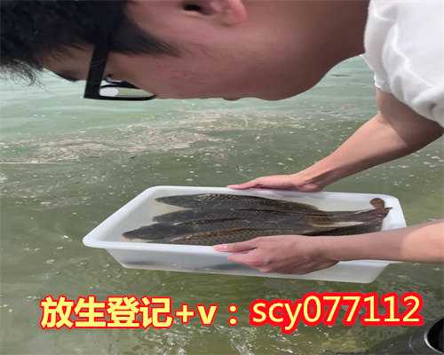 贵州放生群，贵州湖哪里放生乌龟，贵州允许放生的水域