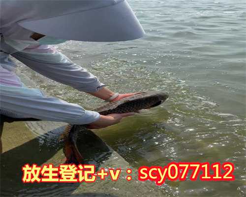 黑龙江放生甲鱼在哪里，官方通报黑龙江聚集性疫情：持续时间长，感染病例多