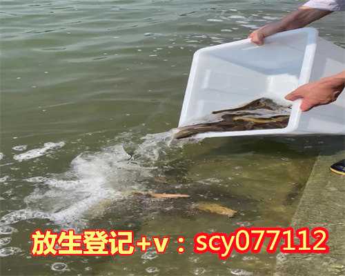 潍坊亡人可以放生吗，潍坊放生鱼的地方，潍坊乌龟是放生好还是养着